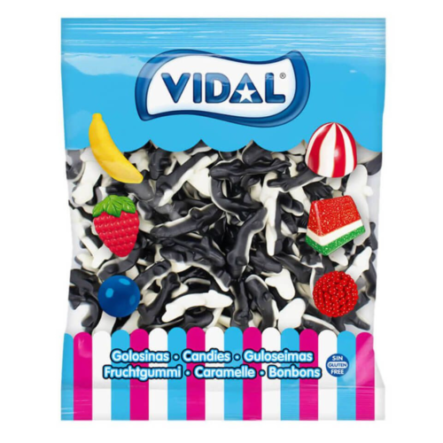 Vidal Orca Whales