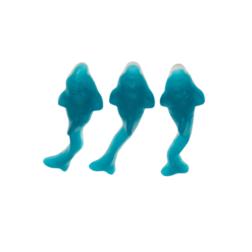 Yummy Gummy Blue Dolphin 900g Tub